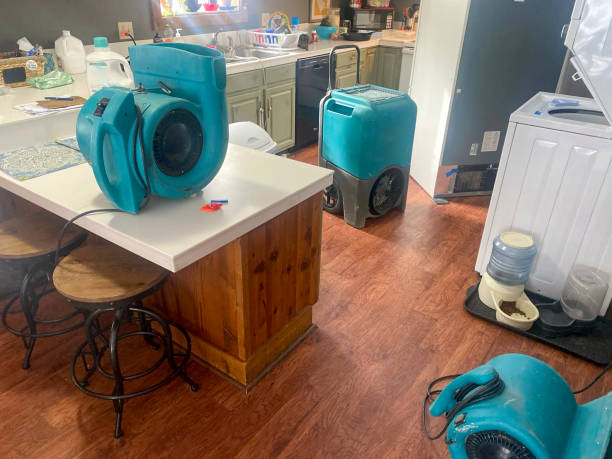 Water damage restoration insurance claims in Piedmont, CA