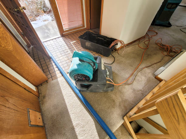 Best Flooded house restoration  in Piedmont, CA