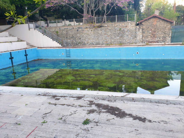 Best Flood restoration services  in Piedmont, CA
