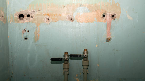 Best Emergency water damage restoration  in Piedmont, CA